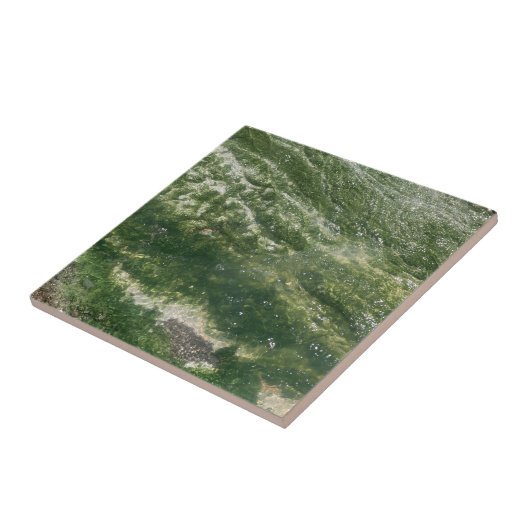 Carreau Carrelage Décor Vert (Côté)