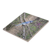 Carreau Carrelage décoratif bleu Jay (Ohio) (Côté)