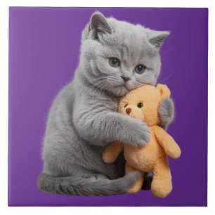 Carreau Carrelage décoratif British Shorthair et Teddy Bea