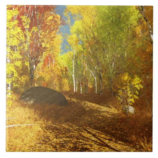 Carreau Carrelage décoratif clair (Devant)