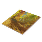 Carreau Carrelage décoratif clair (Côté)