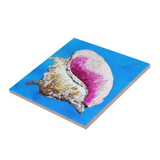 Carreau Carrelage décoratif Conch Shell (Côté)