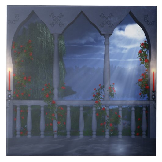 Carreau Carrelage décoratif de son manteau d'argent (Devant)