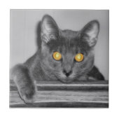 Carreau Carrelage décoratif en or (Devant)