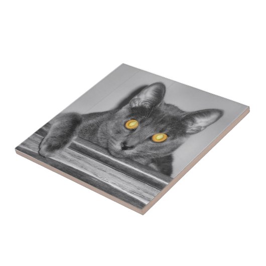 Carreau Carrelage décoratif en or (Côté)