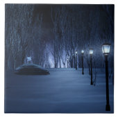 Carreau Carrelage décoratif léger de Fool (Devant)