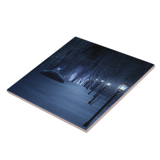 Carreau Carrelage décoratif léger de Fool (Côté)