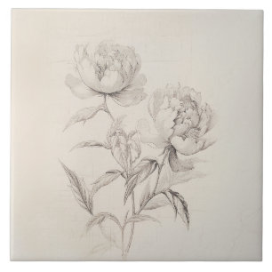Carreau Carrelage décoratif vintage Peony 2