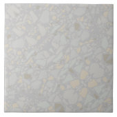 Carreau Carrelage d'effet Terrazzo gris clair moderne (Devant)