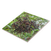 Carreau Carrelage des Elderberries (Côté)