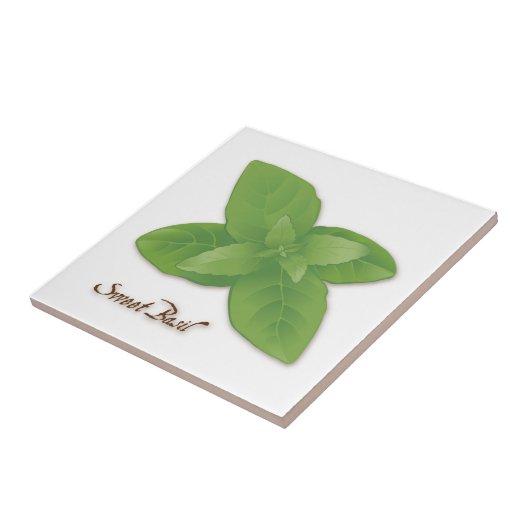 Carreau Carrelage d'herbe douce Basil (Côté)