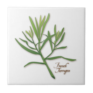 Carreau Carrelage d'Herbe Tarragone