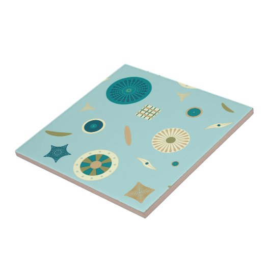 Carreau Carrelage Diatomées (Côté)