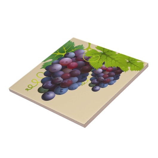 Carreau Carrelage en céramique (Côté)