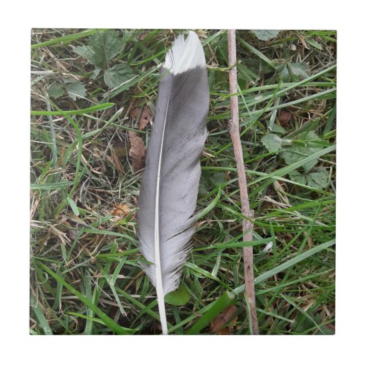 Carreau Carrelage en céramique (Devant)