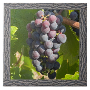 Carreau Carrelage en céramique 6"x 6" avec de magnifiques