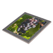 Carreau Carrelage en céramique 6"x 6" avec de magnifiques (Côté)