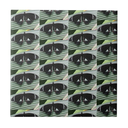 Carreau Carrelage en céramique à papillon noir et blanc (Devant)