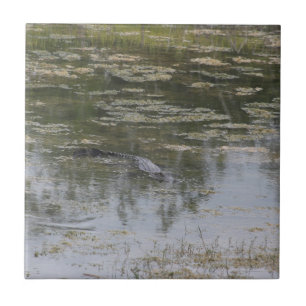 Carreau Carrelage en céramique Alligator