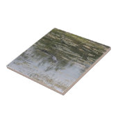 Carreau Carrelage en céramique Alligator (Côté)