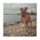 Carreau Carrelage en céramique avec images Carrés (Devant)