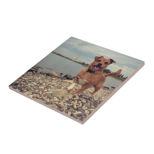 Carreau Carrelage en céramique avec images Carrés (Côté)