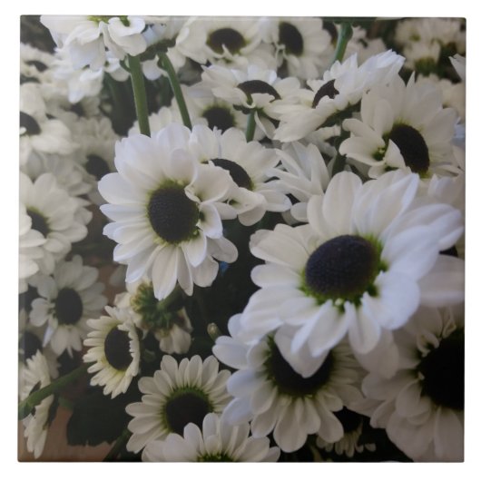 Carreau Carrelage en céramique - Basière noire et blanche (Devant)