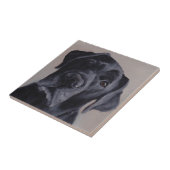 Carreau Carrelage en céramique Black Labrador Retriever Do (Côté)