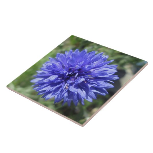Carreau Carrelage en céramique - Bouton bleu Cornflower Ba (Côté)