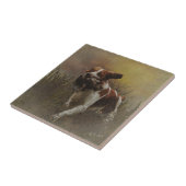 Carreau Carrelage en céramique breton (Côté)