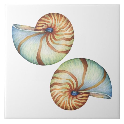 Carreau Carrelage en céramique - Coques de mer (Devant)