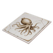 Carreau Carrelage en céramique Cuttlefish vintage (Côté)