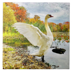 Carreau Carrelage en céramique cygne et automne