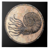 Carreau Carrelage en céramique d'Ammonite (Devant)