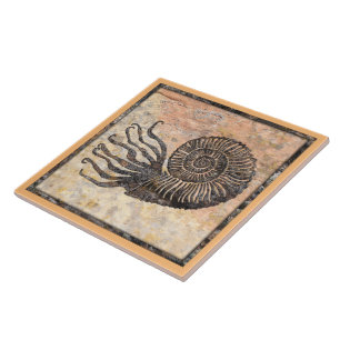 Carreau Carrelage en céramique d'Ammonite