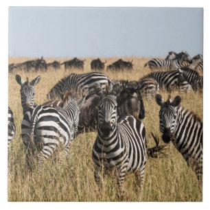 Carreau Carrelage en céramique de Grant