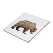 Carreau Carrelage en céramique de grizzli (Côté)