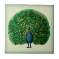 Carrelage en céramique de l'Antique Majolica Peaco