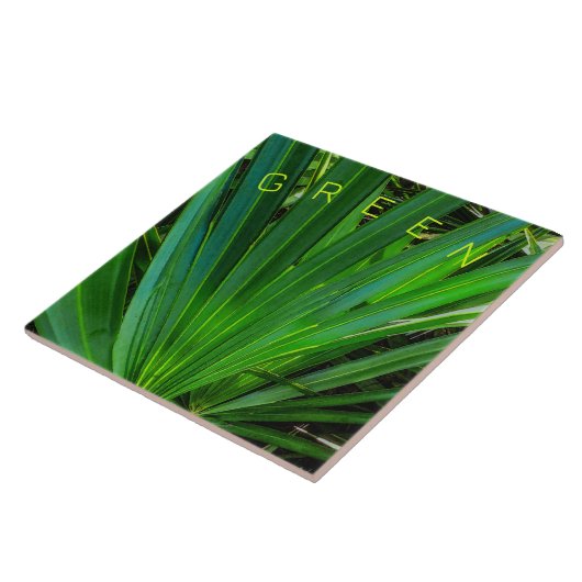 Carreau Carrelage en céramique de palmetto de scie verte (Côté)