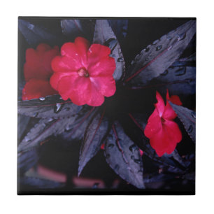 Carreau Carrelage en céramique des Impatiens de Nouvelle-