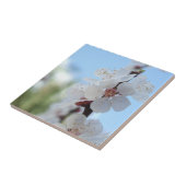 Carreau Carrelage en céramique fleurie (Côté)