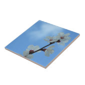 Carreau Carrelage en céramique fleurie (Côté)