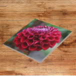 Carreau Carrelage en céramique fleurie de Dahlia rouge<br><div class="desc">Carrelage en céramique qui présente l'image d'une fleur de Dahlia rouge. Un joli design floral ! Sélectionnez votre taille de tuile. Fait une grande cuisine trivet!</div>