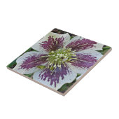 Carreau Carrelage en céramique florale Hellebore Rose Lent (Côté)