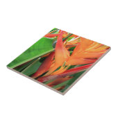 Carreau Carrelage en céramique hibiscus d'Hawaï (Côté)