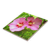 Carreau Carrelage en céramique Hibiscus rose (Côté)