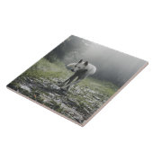 Carreau Carrelage en céramique Husky Sibérien Blanc (Côté)