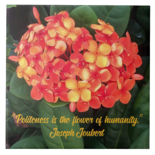 Carreau Carrelage en céramique Ixora