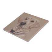 Carreau Carrelage en céramique pour chien d'animaux de com (Côté)