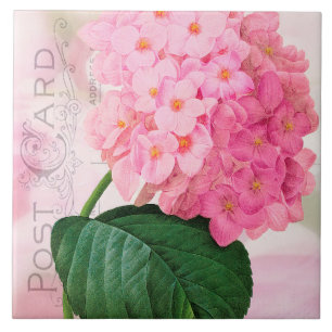 Carreau Carrelage en céramique Redoute French Pink Hydrang